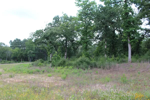 a view of a yard with a tree