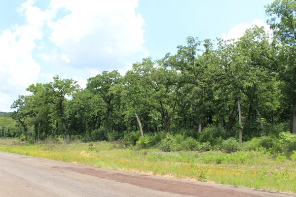 a view of a yard with a tree