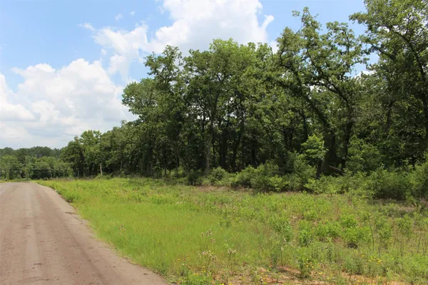 a view of a yard with plants and a bench