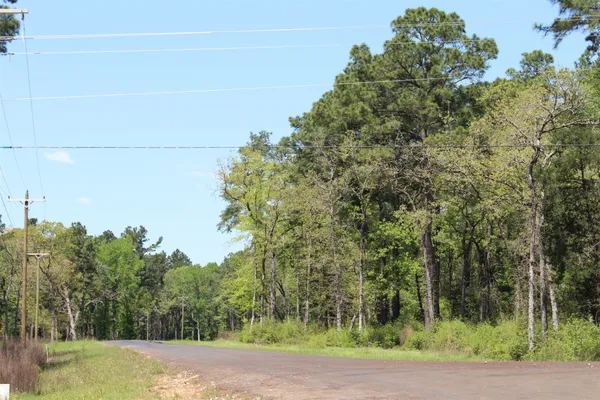 a view of a yard with plants and trees