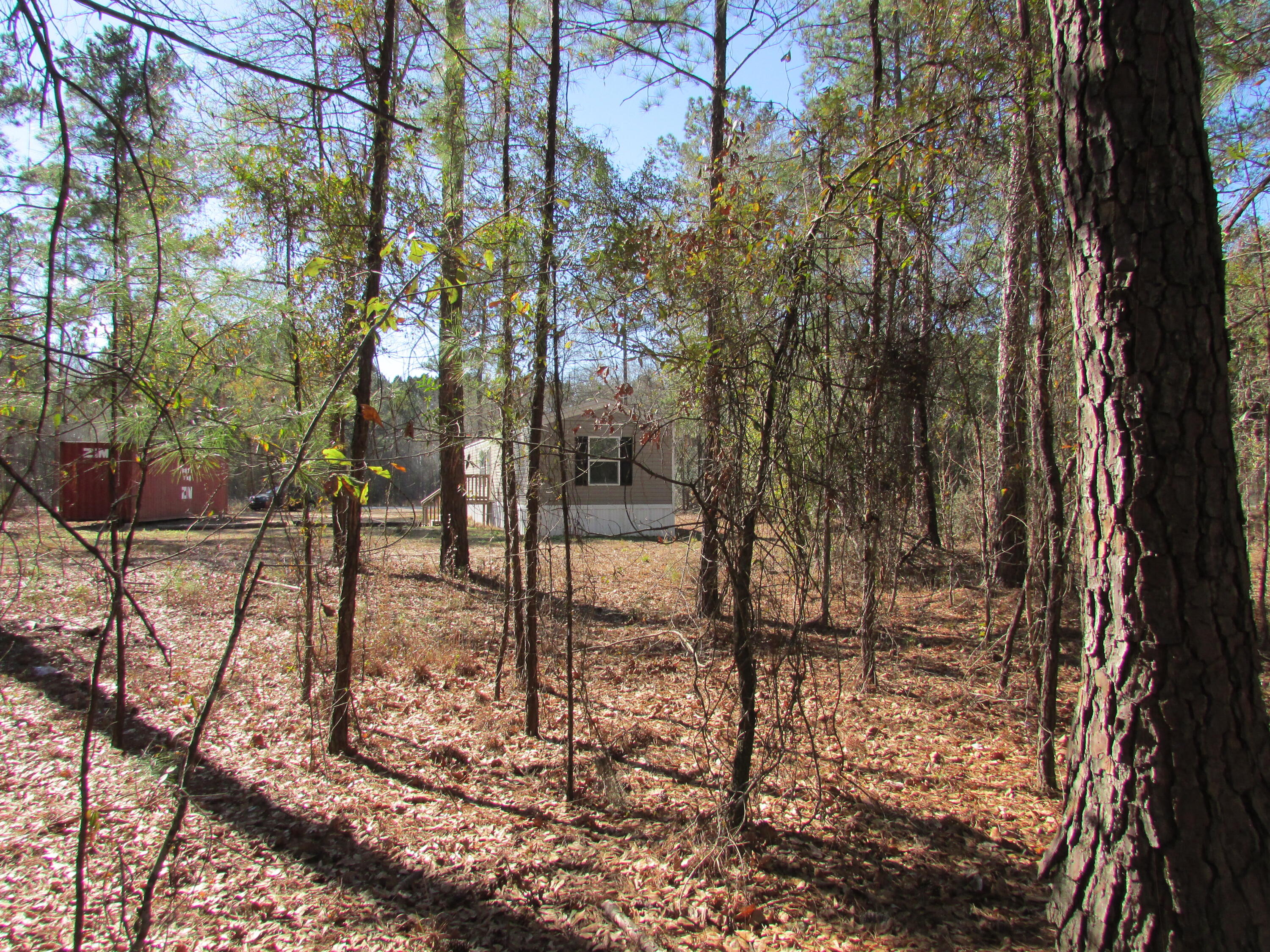 799 Harmony Hall Lane Round O, SC 29474 - Photo 28 of 29 IMG_1392