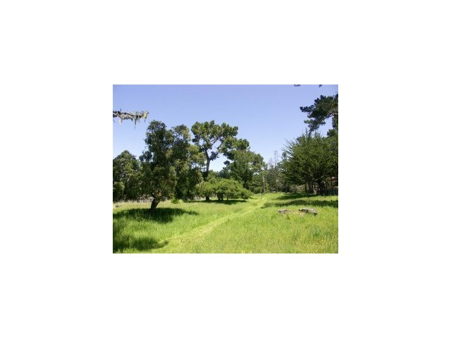 1099 Ortega Road Pebble Beach, CA 93953 - Photo 18 of 19 Gallery Image 18
