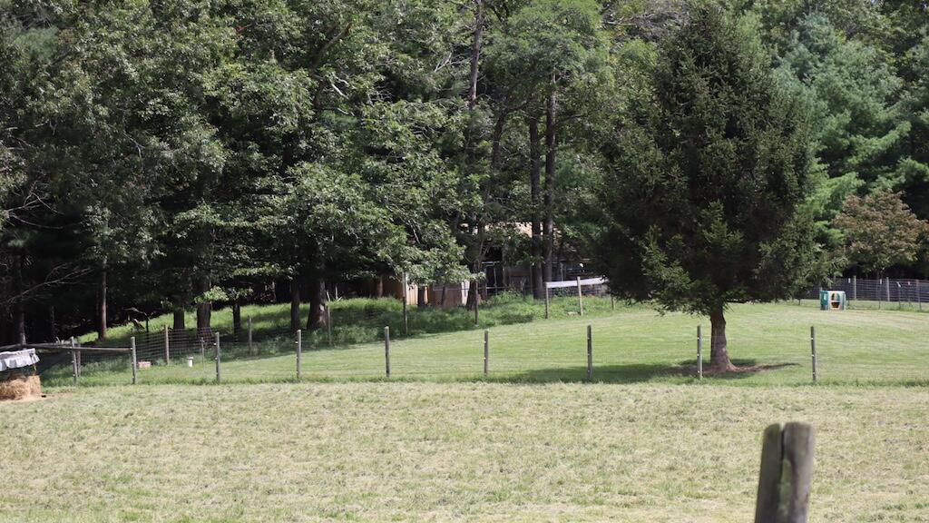 1247 Cannady School Road Southeast Floyd, VA 24091 - Photo 38 of 54 a view of a park