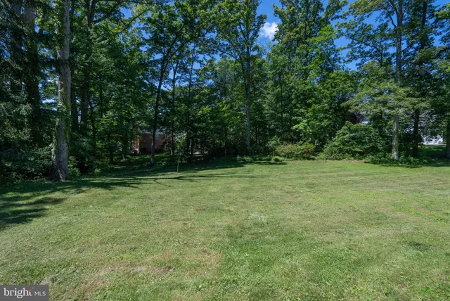 a view of outdoor space with trees all around