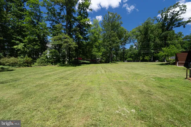 a view of a park with large trees