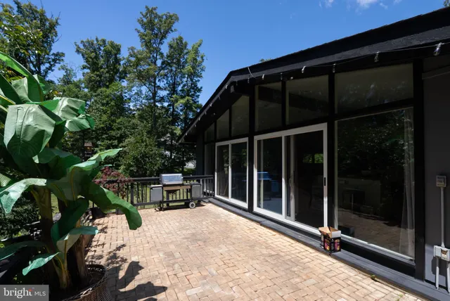 a view of a backyard with potted plants and large trees