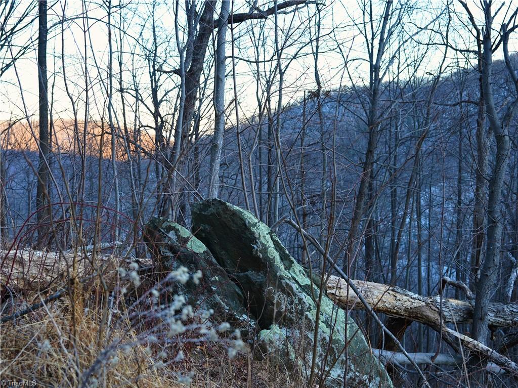 2650 Shooting Crk Road Ferrum, VA 24088 - Photo 11 of 49