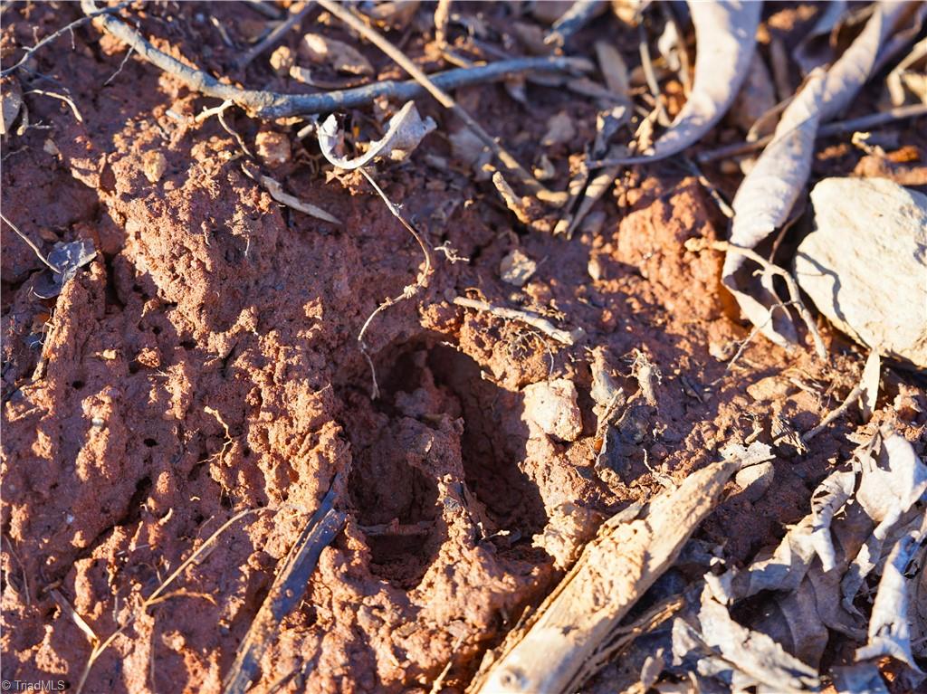 2650 Shooting Crk Road Ferrum, VA 24088 - Photo 13 of 49