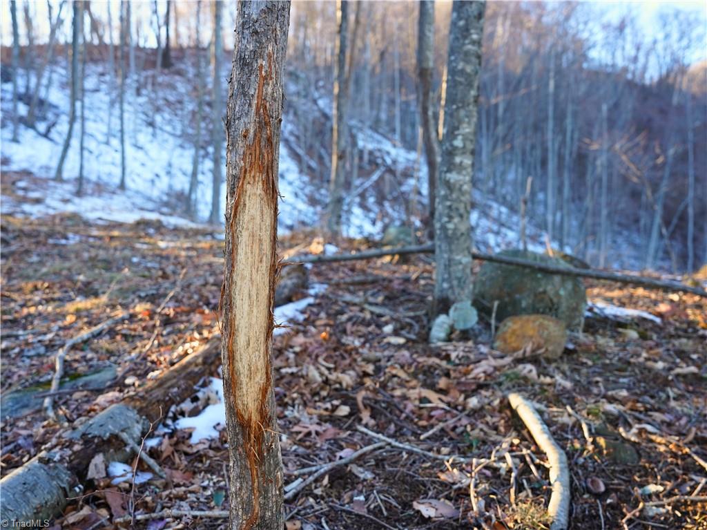 2650 Shooting Crk Road Ferrum, VA 24088 - Photo 18 of 49