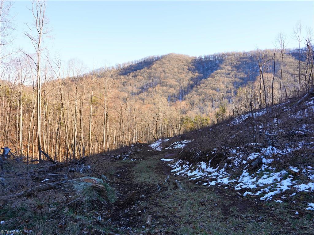 2650 Shooting Crk Road Ferrum, VA 24088 - Photo 19 of 49