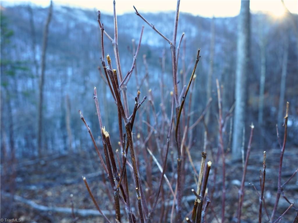 2650 Shooting Crk Road Ferrum, VA 24088 - Photo 22 of 49