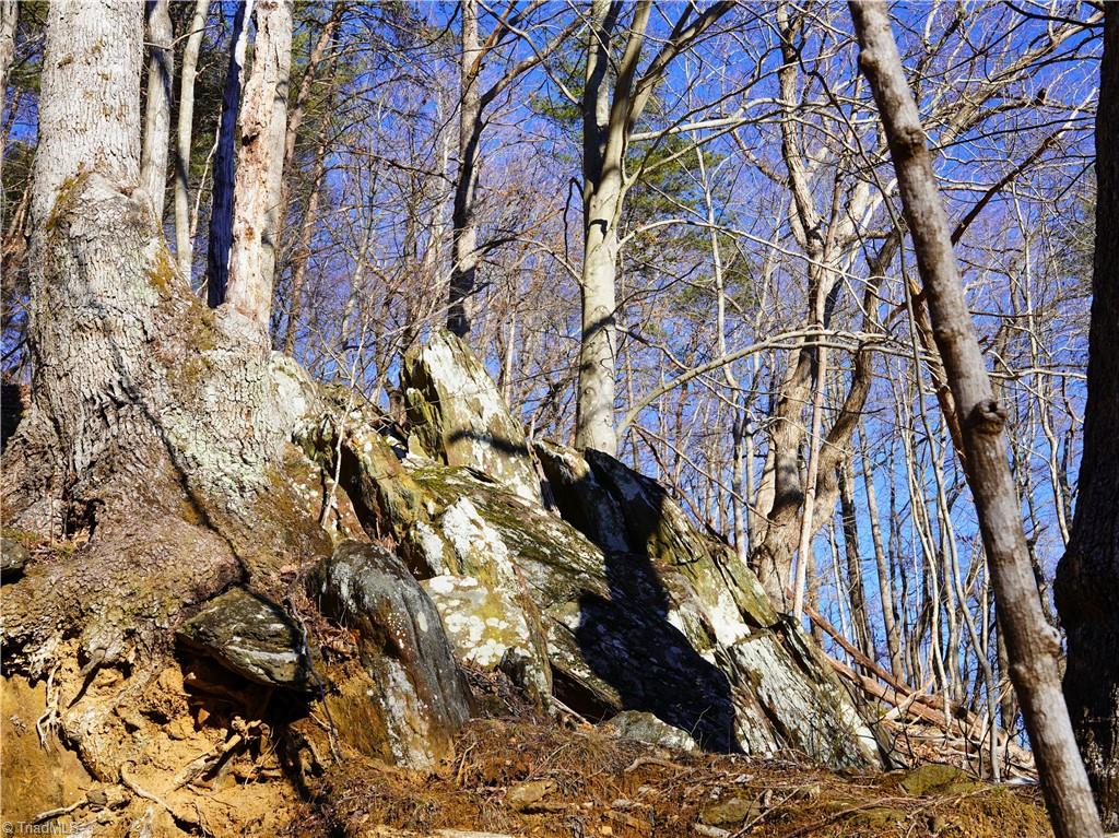 2650 Shooting Crk Road Ferrum, VA 24088 - Photo 23 of 49