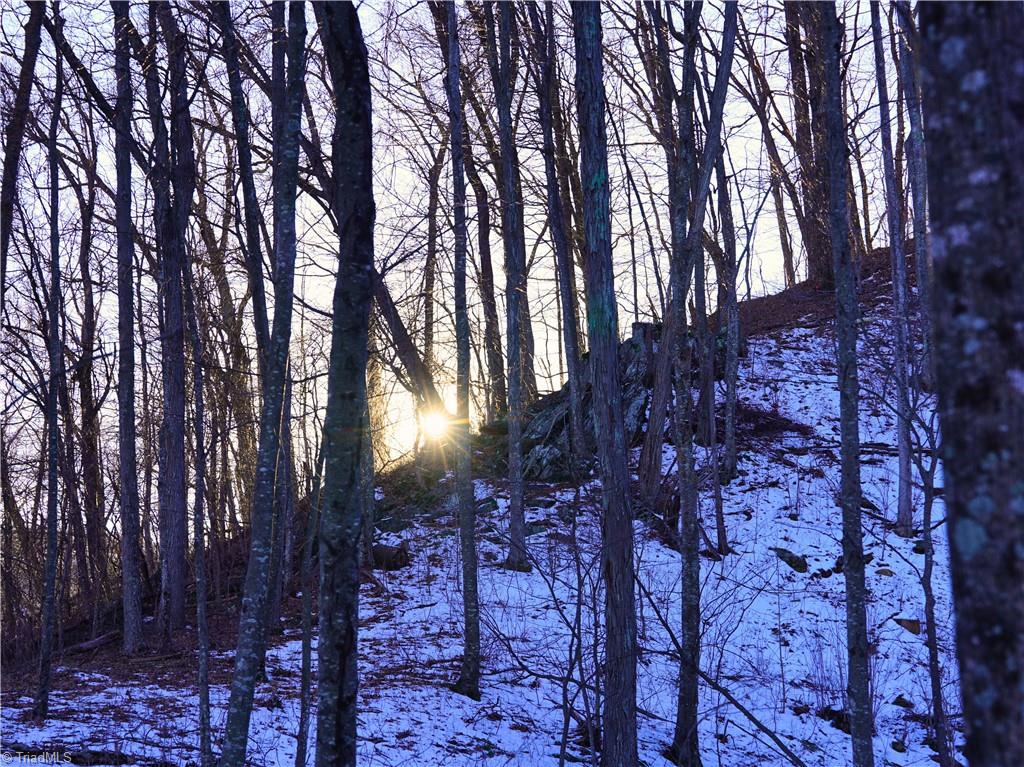 2650 Shooting Crk Road Ferrum, VA 24088 - Photo 26 of 49