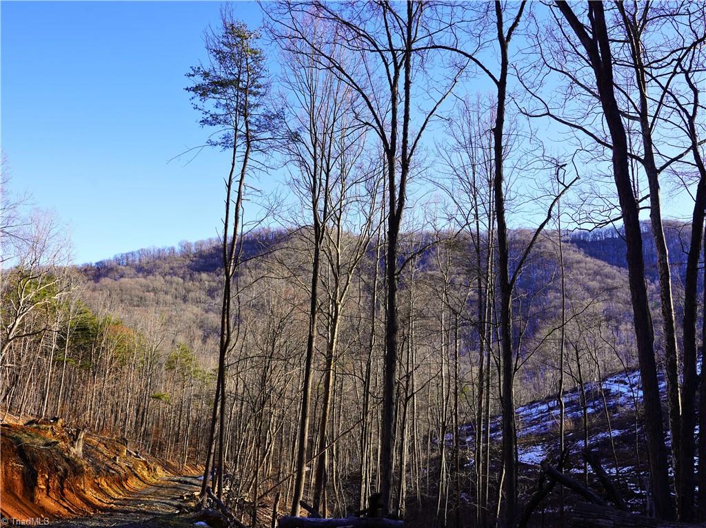 2650 Shooting Crk Road Ferrum, VA 24088 - Photo 3 of 49