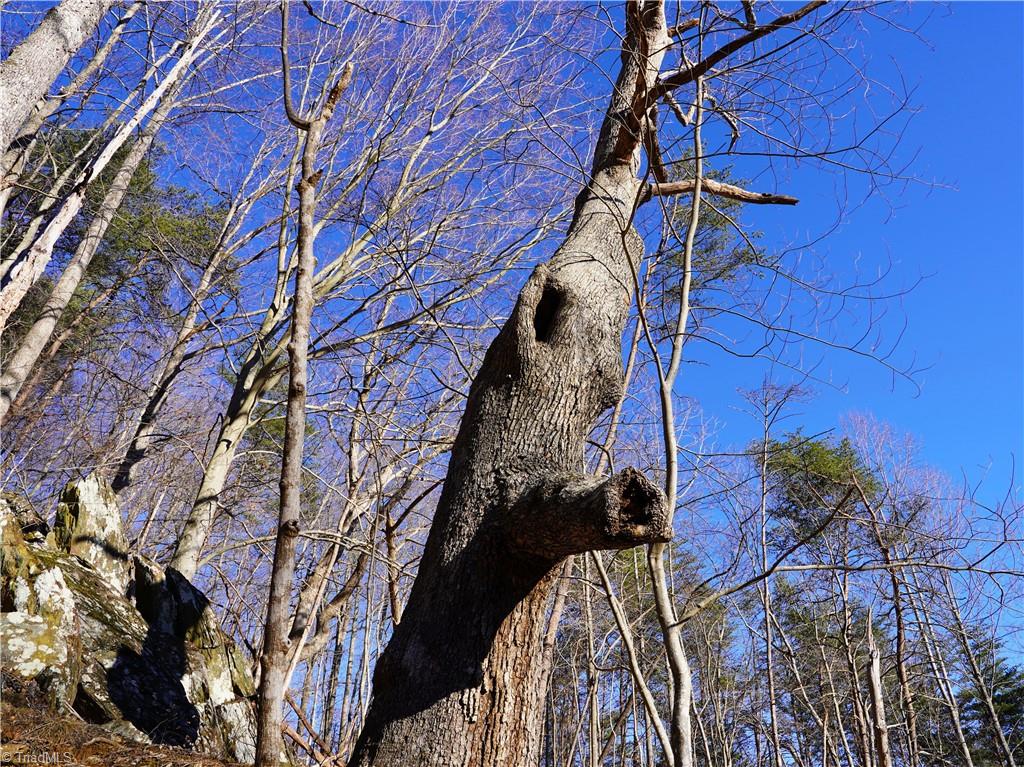 2650 Shooting Crk Road Ferrum, VA 24088 - Photo 33 of 49