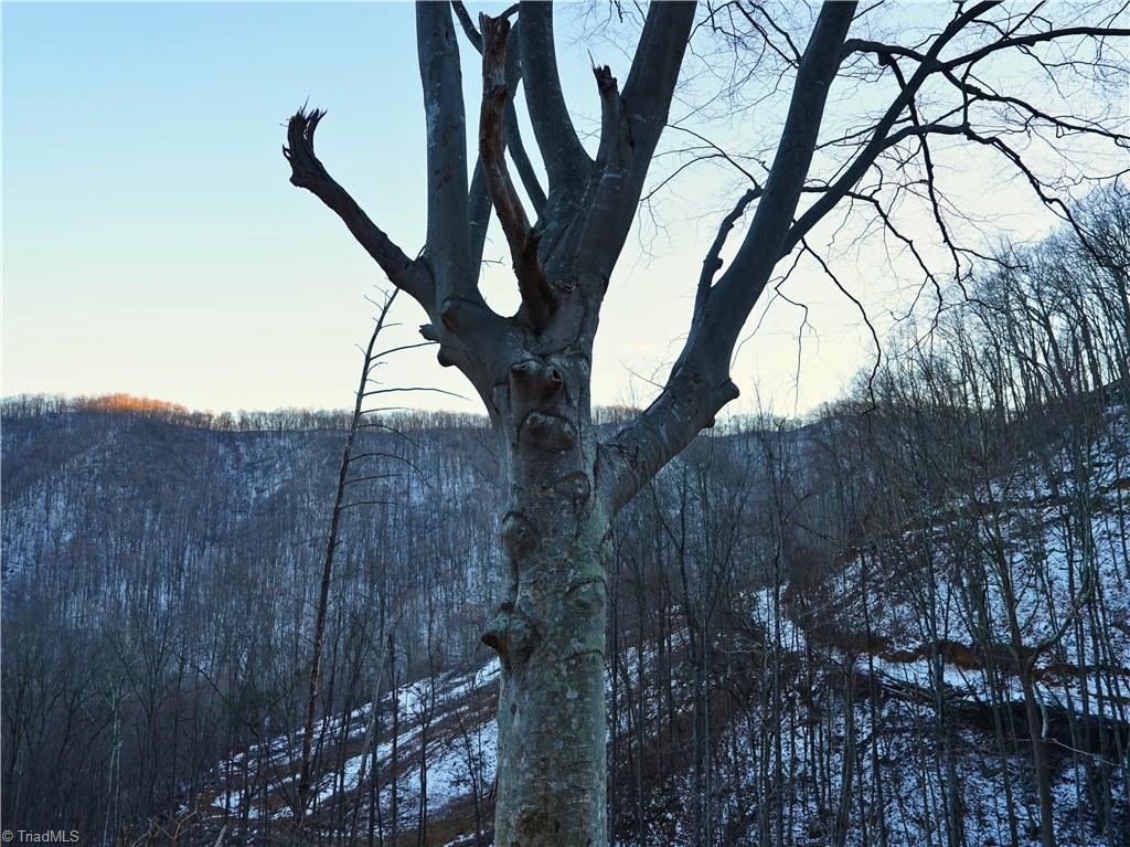 2650 Shooting Crk Road Ferrum, VA 24088 - Photo 36 of 49