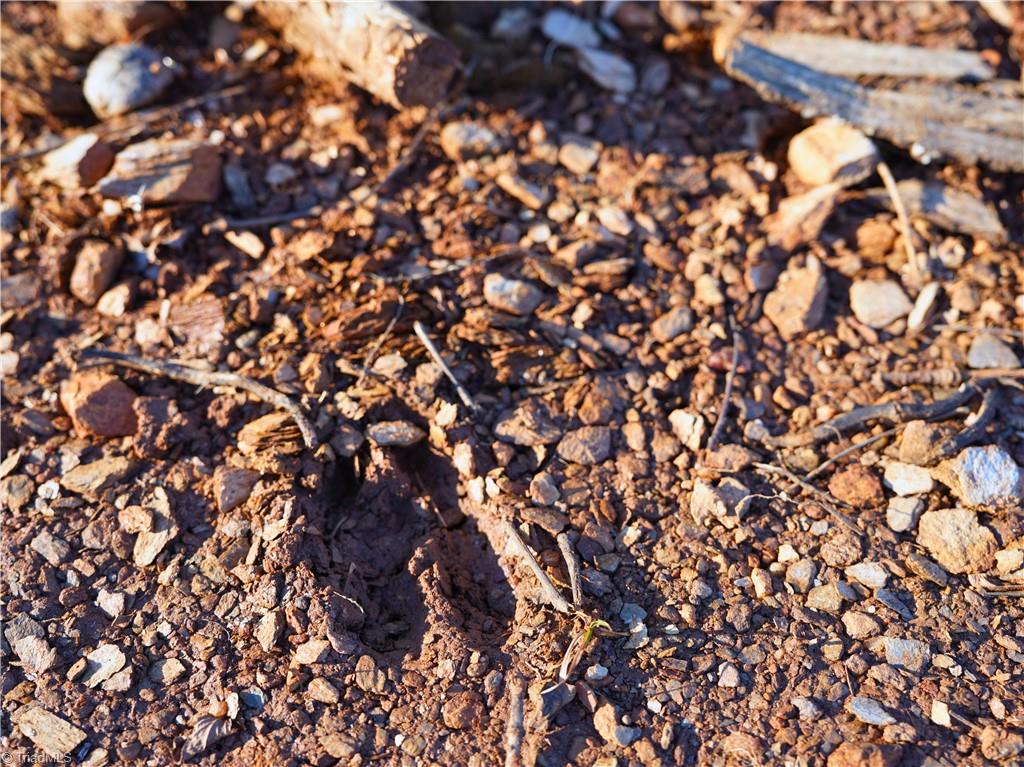 2650 Shooting Crk Road Ferrum, VA 24088 - Photo 37 of 49