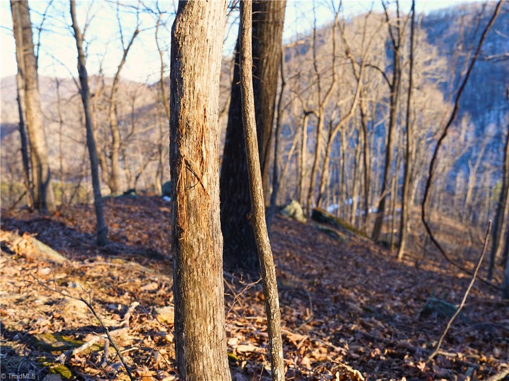 2650 Shooting Crk Road Ferrum, VA 24088 - Photo 38 of 49