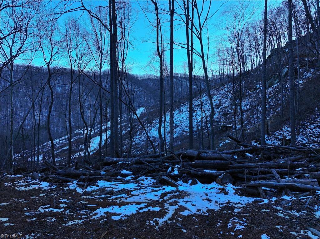 2650 Shooting Crk Road Ferrum, VA 24088 - Photo 39 of 49