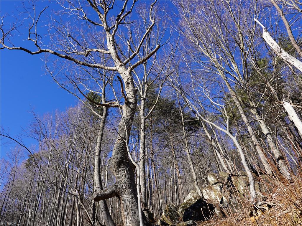 2650 Shooting Crk Road Ferrum, VA 24088 - Photo 40 of 49