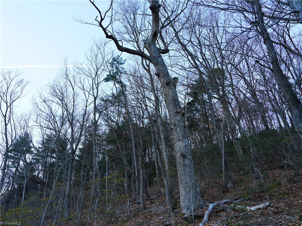 2650 Shooting Crk Road Ferrum, VA 24088 - Photo 42 of 49