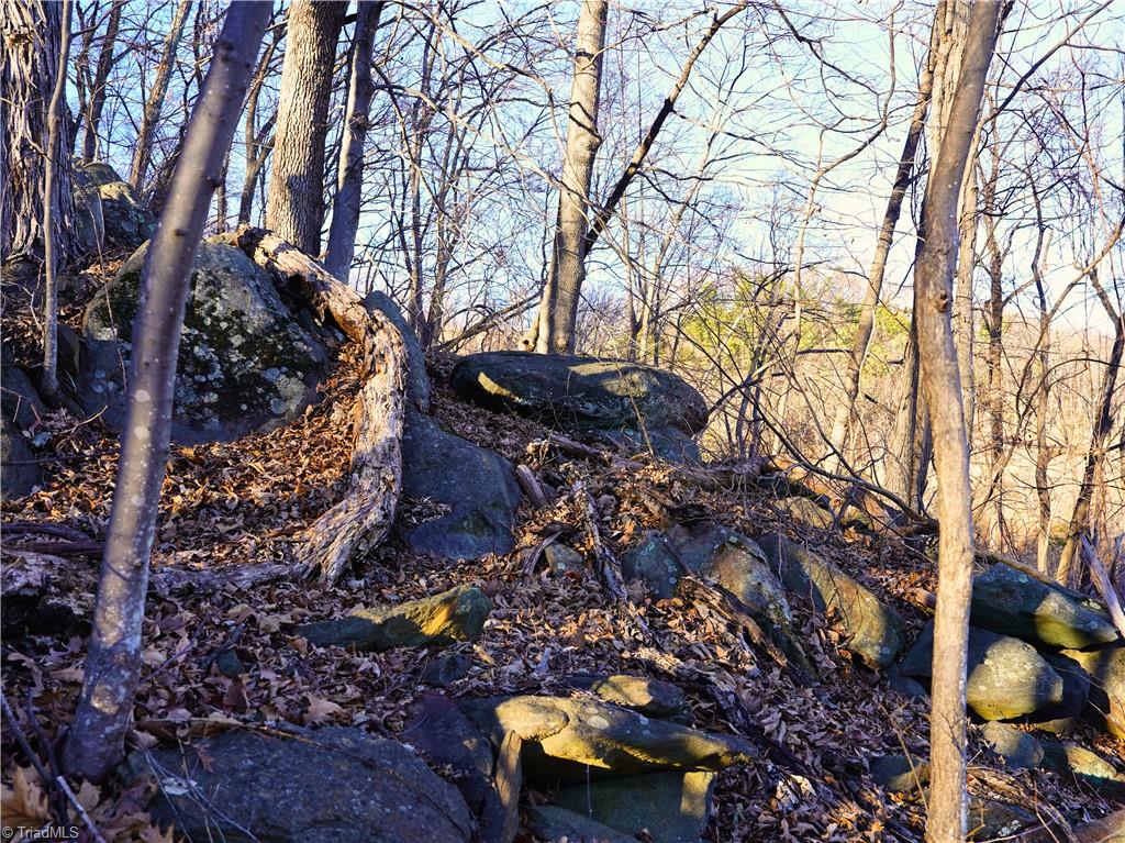 2650 Shooting Crk Road Ferrum, VA 24088 - Photo 44 of 49