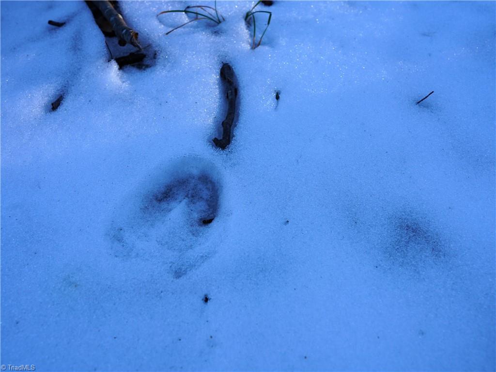 2650 Shooting Crk Road Ferrum, VA 24088 - Photo 45 of 49