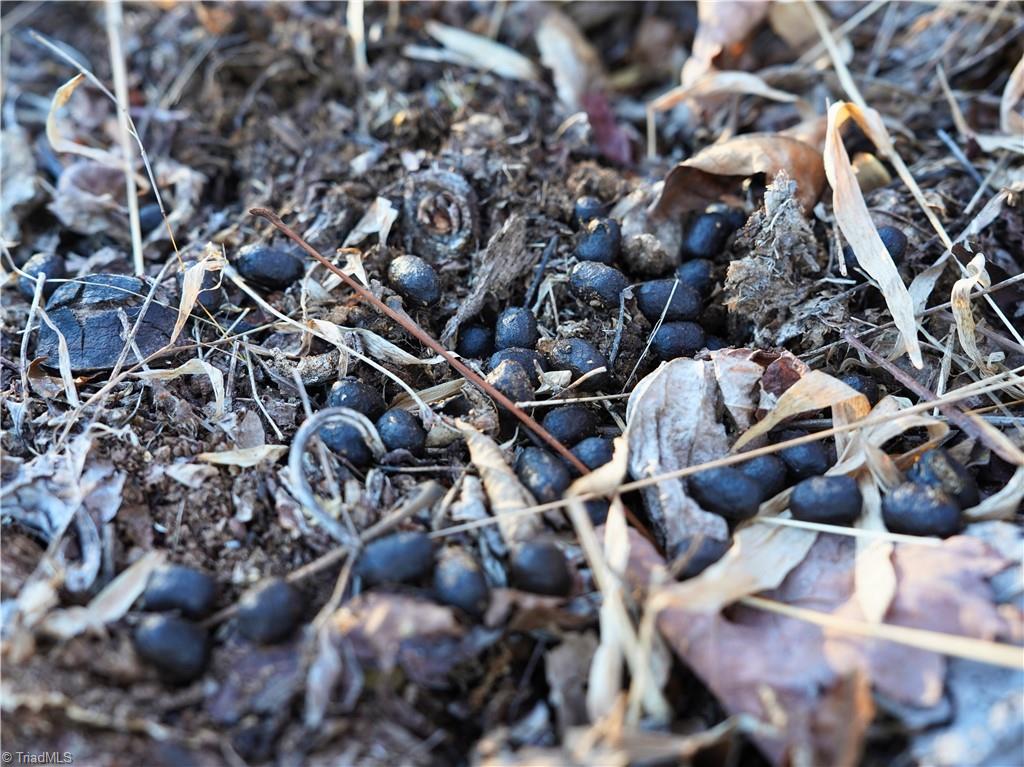 2650 Shooting Crk Road Ferrum, VA 24088 - Photo 46 of 49