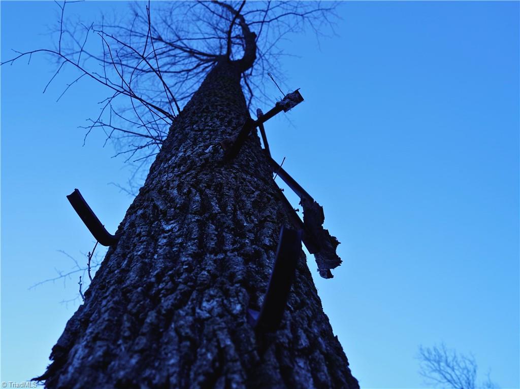 2650 Shooting Crk Road Ferrum, VA 24088 - Photo 47 of 49