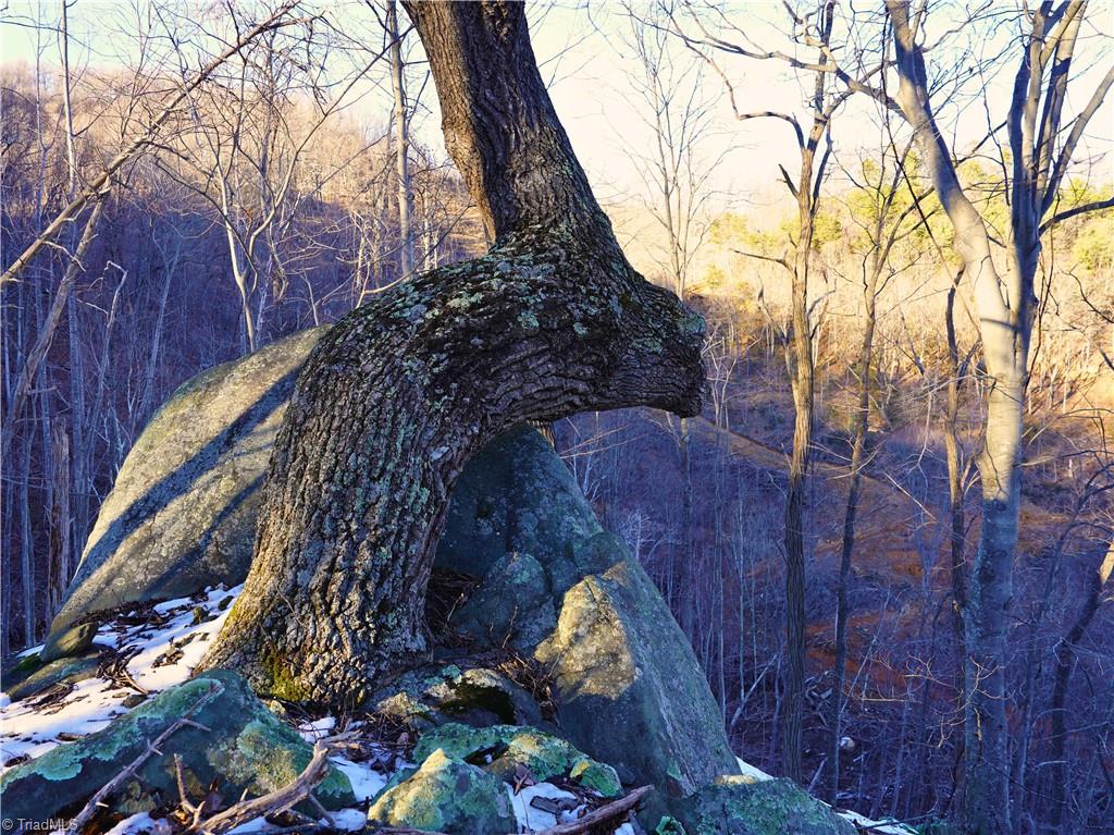 2650 Shooting Crk Road Ferrum, VA 24088 - Photo 5 of 49