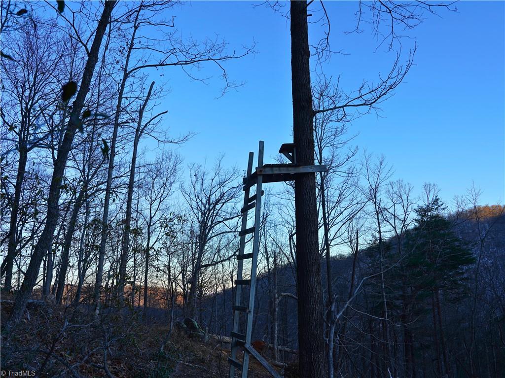 2650 Shooting Crk Road Ferrum, VA 24088 - Photo 7 of 49