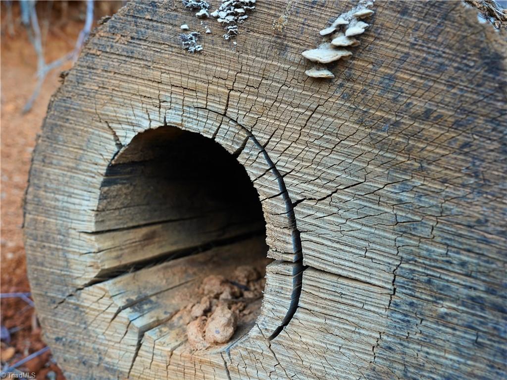 2650 Shooting Crk Road Ferrum, VA 24088 - Photo 8 of 49