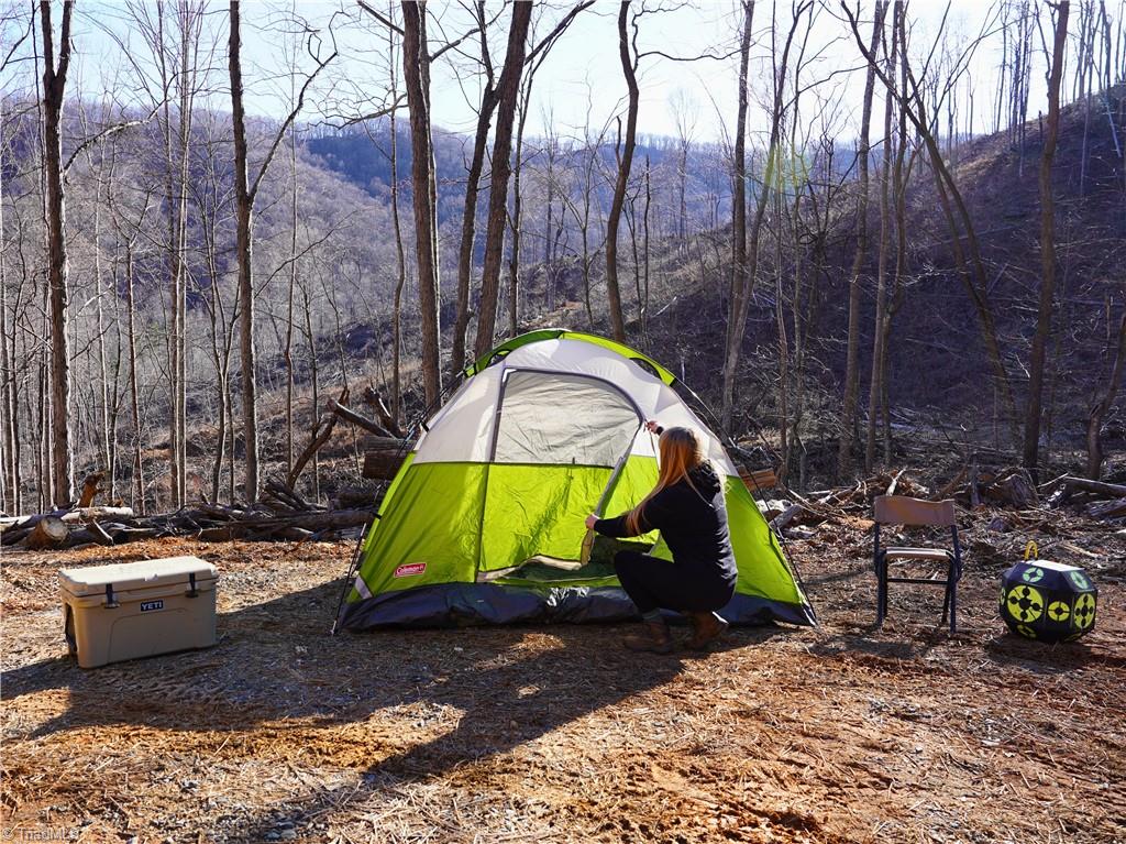 2650 Shooting Crk Road Ferrum, VA 24088 - Photo 10 of 49
