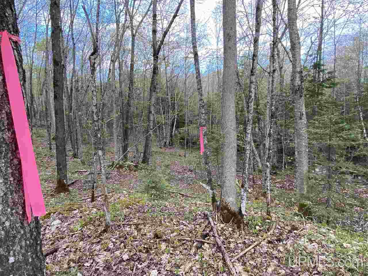 On On Chaney Cove Road, Unit LOT 1 Bessemer, MI 49911 - Photo 16 of 28