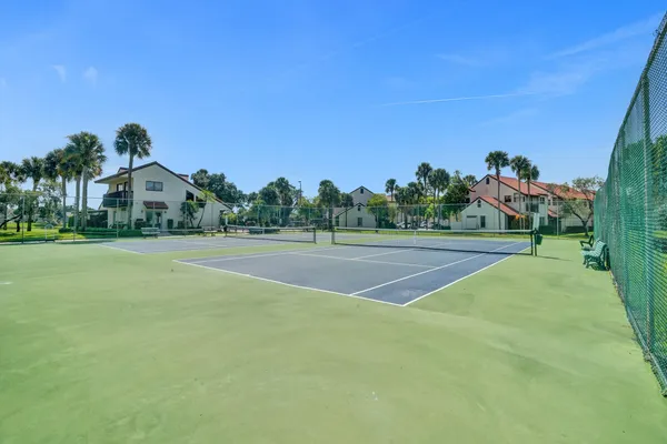 a view of a swimming pool with a yard and palm trees
