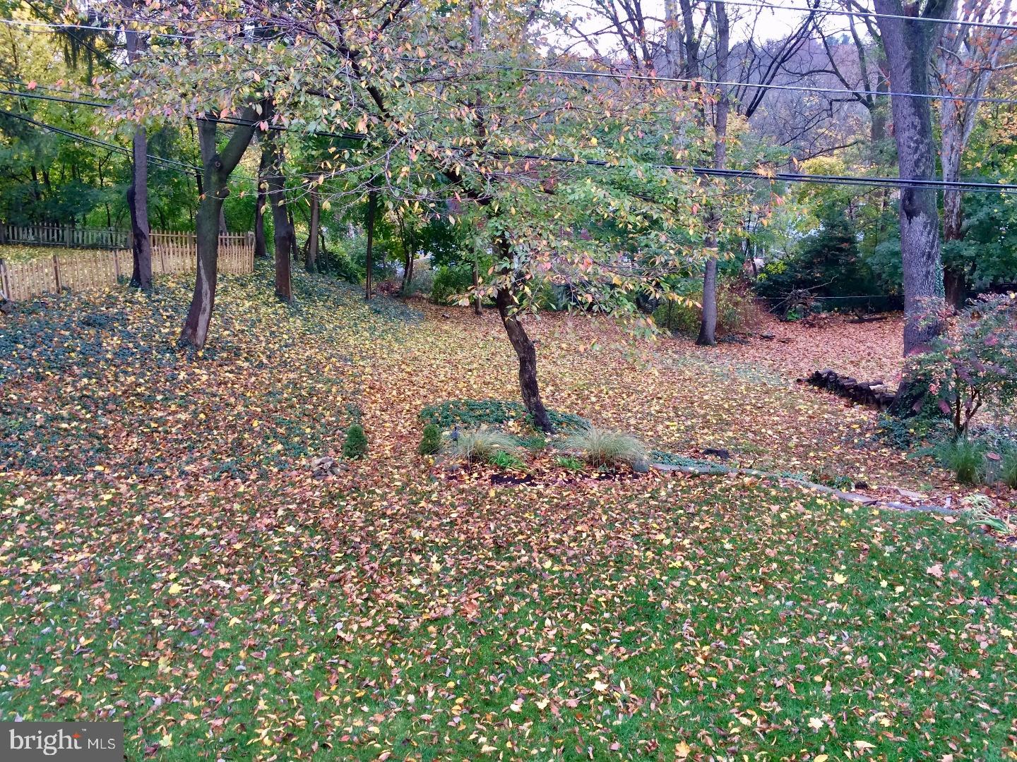 816 Dover Road Wynnewood, PA 19096 - Photo 17 of 21