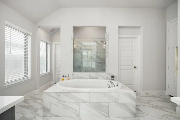 a bathroom with a bathtub and shower