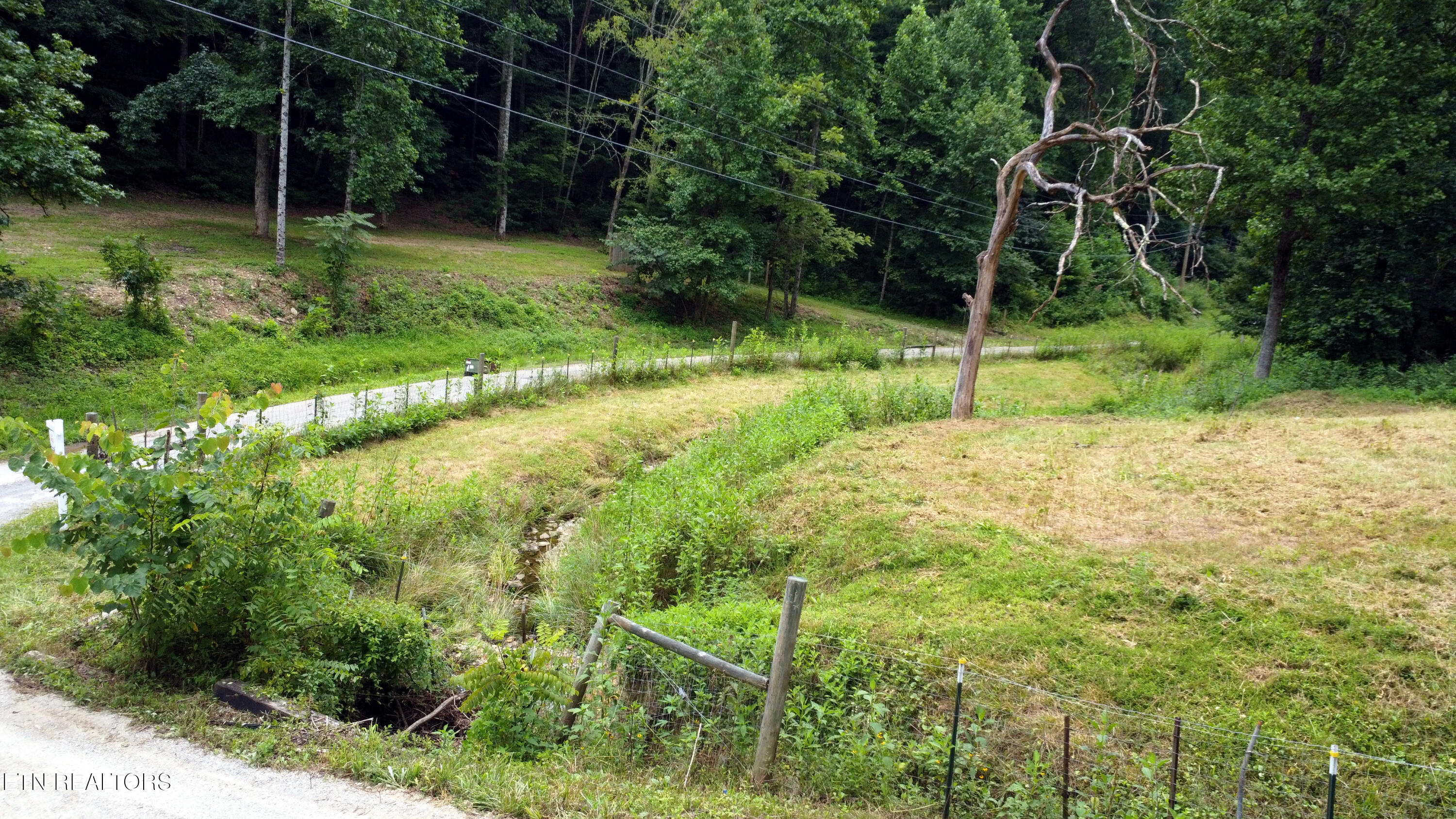 609 Miller Hollow Road Bean Station, TN 37708 - Photo 36 of 37 Pasture