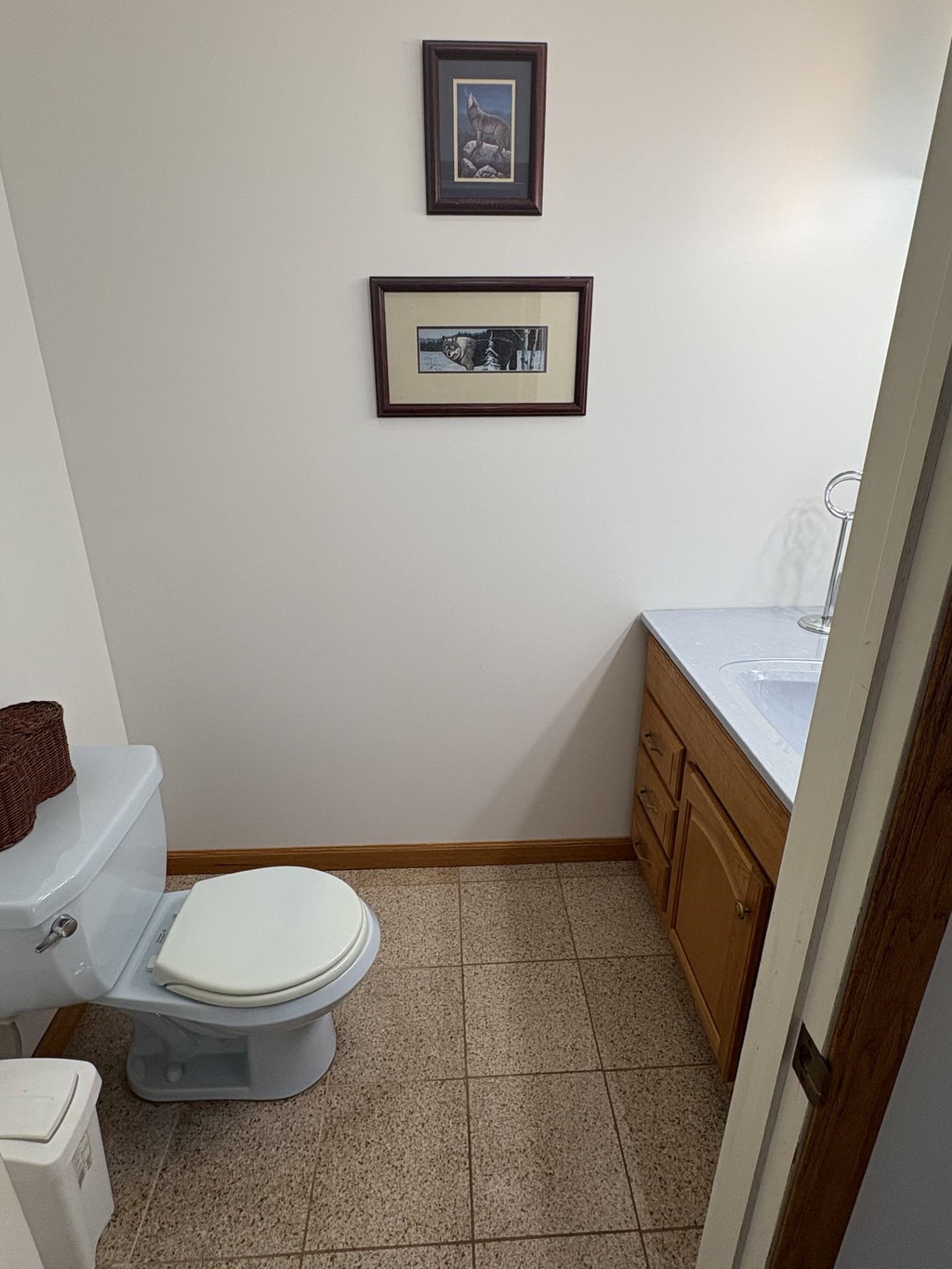 99 North Alamando Road Shepherd, MI 48883 - Photo 5 of 43