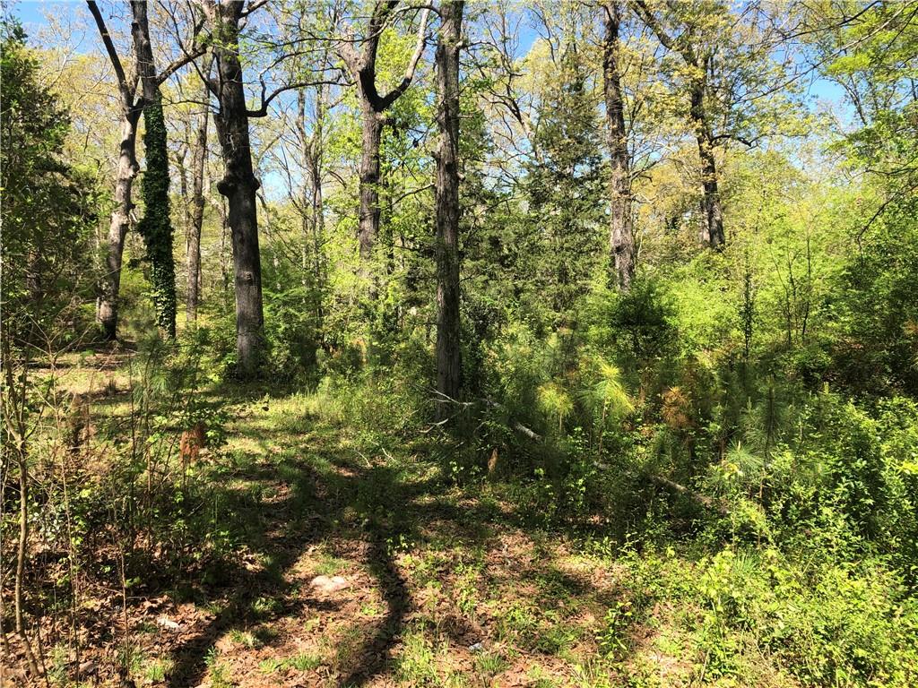 2165 Old Salem Road Southeast Conyers, GA 30013 - Photo 2 of 7