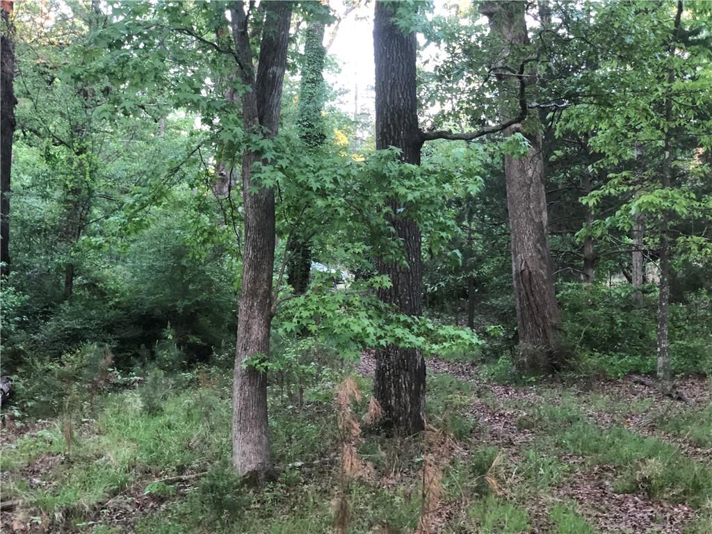 2165 Old Salem Road Southeast Conyers, GA 30013 - Photo 5 of 7