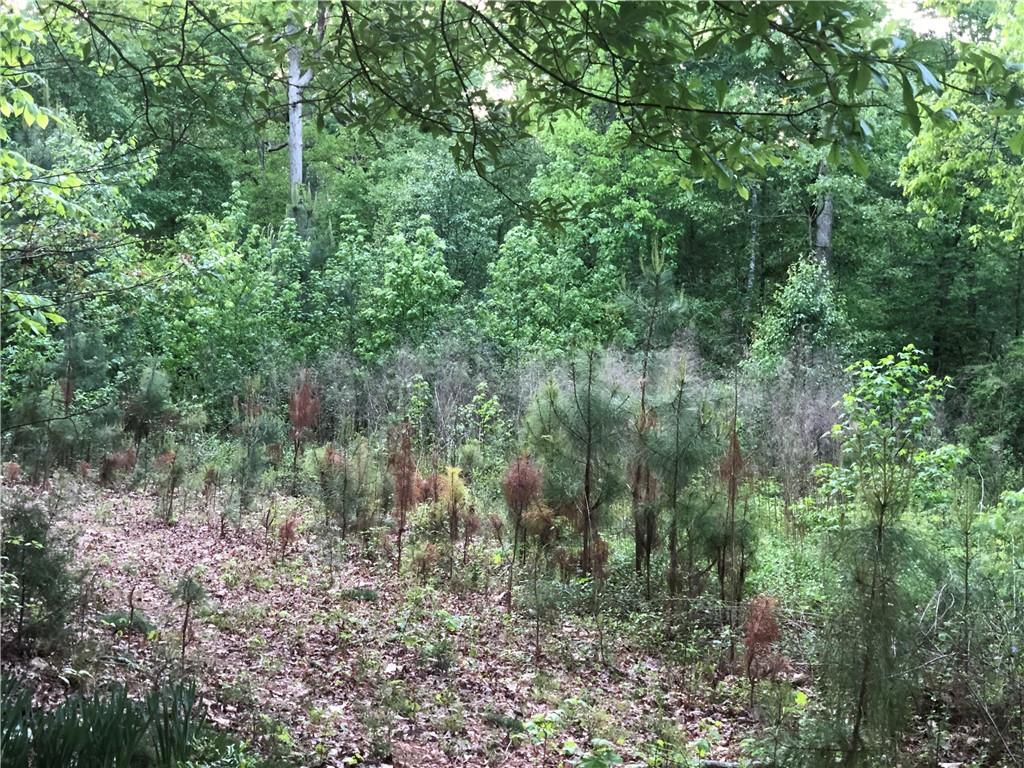 2165 Old Salem Road Southeast Conyers, GA 30013 - Photo 7 of 7