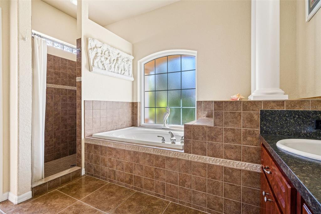 10288 Ridge Top Loop Weeki Wachee, FL 34613 - Photo 25 of 61 a bathroom with a sink and a mirror