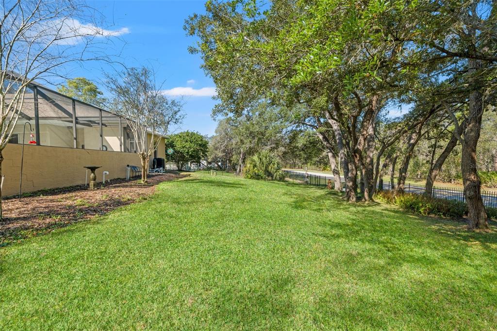 10288 Ridge Top Loop Weeki Wachee, FL 34613 - Photo 47 of 61 a view of a yard with a tree