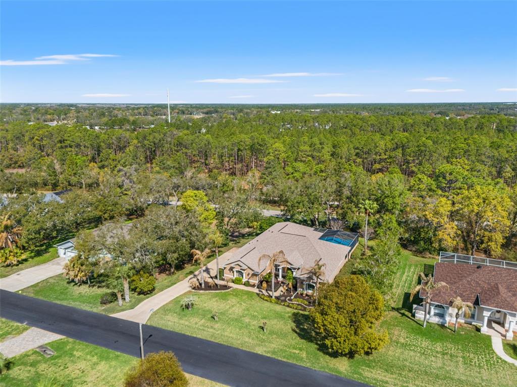 10288 Ridge Top Loop Weeki Wachee, FL 34613 - Photo 52 of 61 an aerial view of residential house with outdoor space