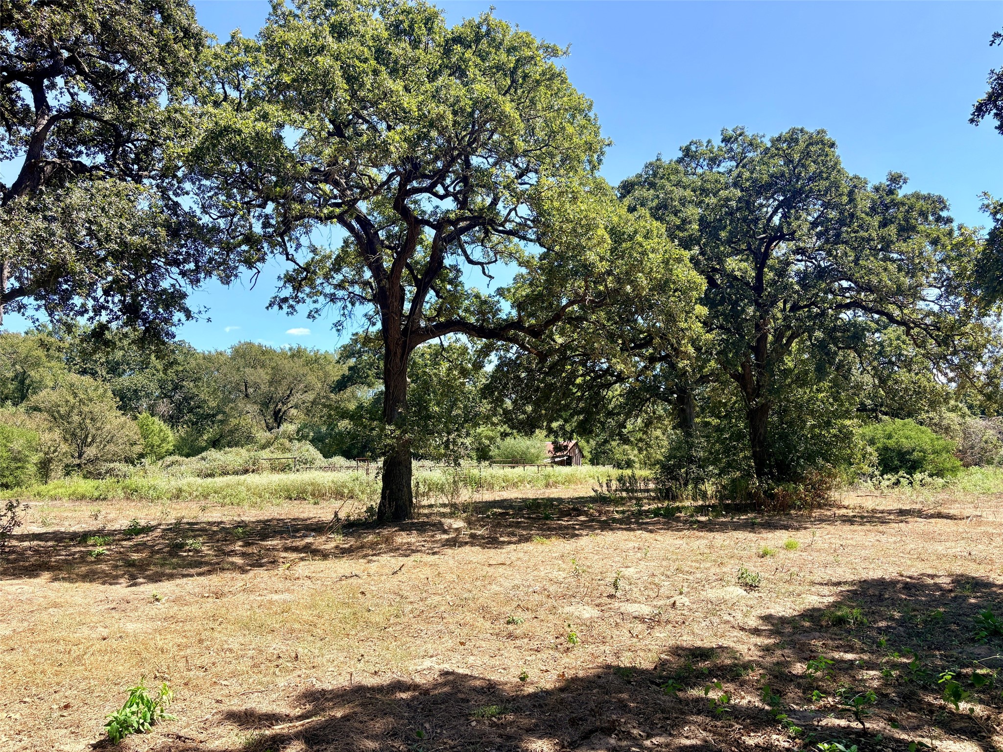 11529 Winstead Lane Calvert, TX 77837 - Photo 5 of 14 Open area