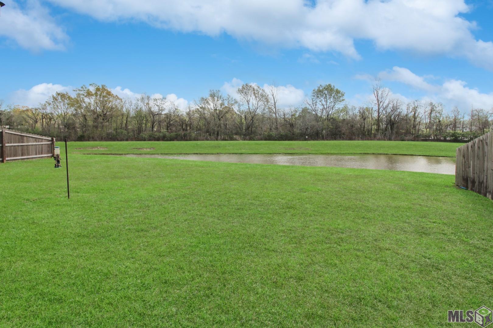 38355 Brown Road Prairieville, LA 70769 - Photo 18 of 23