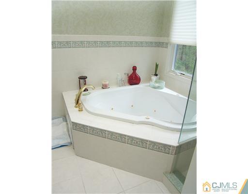 293 Millstone Road Millstone Township, NJ 08535 - Photo 16 of 19 Gallery Image 16