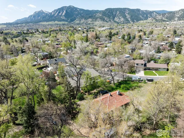 a view of a city with lush green forest