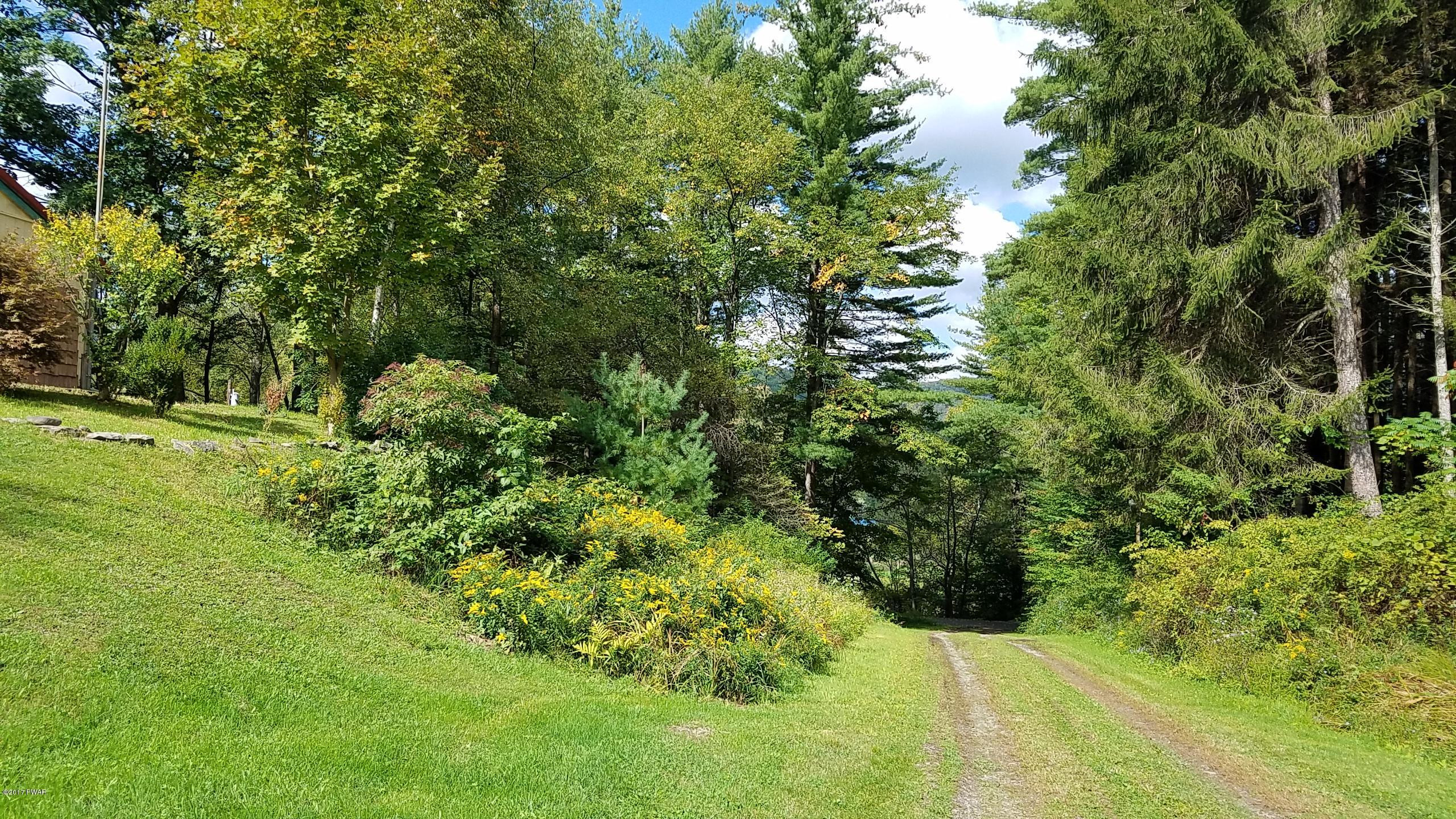 328 Signor Road East Branch, NY 13756 - Photo 7 of 16 20170915_144229